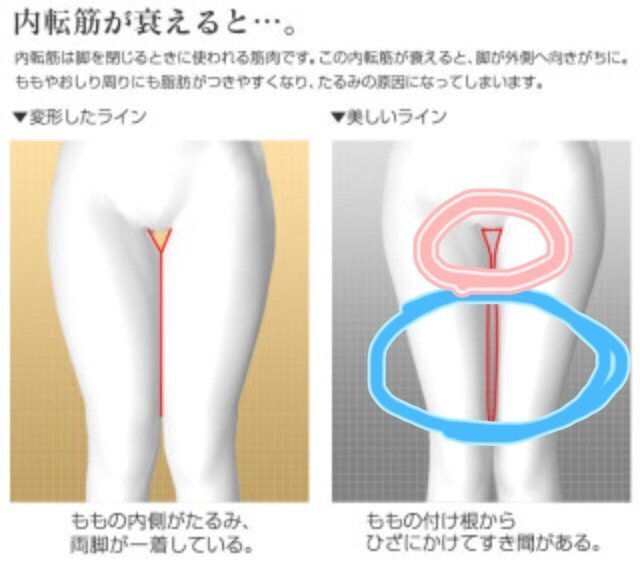 太ももについて 高校生女です画像の通り 私は青い丸の部分は太ももの隙間が Yahoo 知恵袋