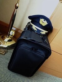 ANA全日空のパイロットに支給されている、こちらの写真のフライト