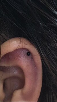 スキャンダル 作動する こんにちは 軟骨 ピアス 黒い Justsampark Org