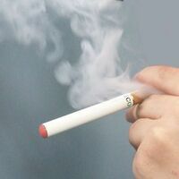 電子タバコでタバコそっくりなやつを探してます 吸うと先が赤く光って煙がい Yahoo 知恵袋