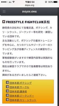 シラットやカリなど護身術系の道場って試合などがない場合が多いです Yahoo 知恵袋