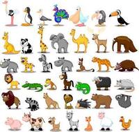 もし １日だけ動物になれるとしたら どんな動物になりたいですか 鳥 Yahoo 知恵袋