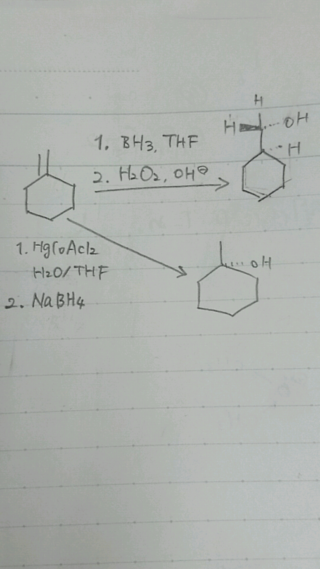 有機化学です ヒドロホウ素化した場合とオキシ水銀化した場合をやって Yahoo 知恵袋
