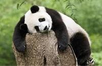 男マークと女マーク の どっちがどっちか覚えられません 覚え方 Yahoo 知恵袋