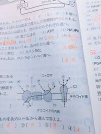 光化学系I