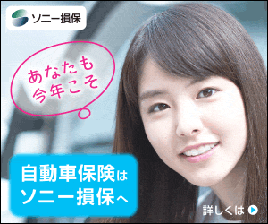 画像の ソニー損保のイメージキャラクターの女性はなんて名前ですか Yahoo 知恵袋
