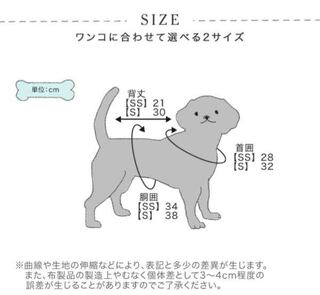 2キロのポメラニアン成犬に合う洋服はssかsかどっちでしょうか Yahoo 知恵袋