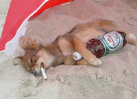 進撃の巨人の作者が ループ説はないと否定したインタビューや記事ってあるんですか Yahoo 知恵袋