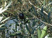 公民館の地図記号は存在しますか よろしくお願いいたします 残念ですが Yahoo 知恵袋