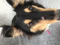 うなぎの怪我について うなぎを２匹飼っていて よく喧嘩します Yahoo 知恵袋