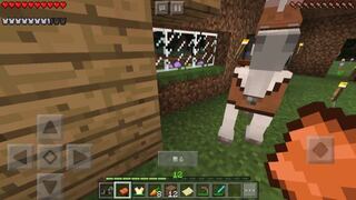 ダウンロード マイクラ ネームタグ 非表示 Minecraftの画像だけ