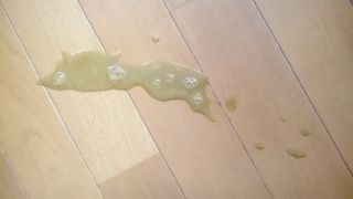 飼い猫が黄色 茶色の液体を吐きます ９ヶ月ほどの猫です ここ五日間 Yahoo 知恵袋