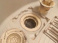 床に落ちている髪の毛って気になりますか 友人yは一人暮らしのため 人 Yahoo 知恵袋