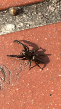 ひるなかの流星 みなさんの描く結末はどんなでしたか 本当 Yahoo 知恵袋