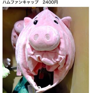 3月にディズニーランドに行きます トイストーリーのハムのハムファン Yahoo 知恵袋