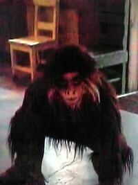 ディズニーランドでうろちょろしている猿みたいなのってなんていうキャラクター Yahoo 知恵袋