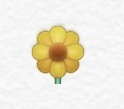 この花の絵文字はなんの花ですか 黄色いマーガレットが一番近いと思い Yahoo 知恵袋