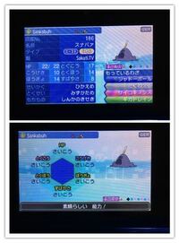 ミラクル交換で改造っぽいのきました 逃がしたほうがいいですよ Yahoo 知恵袋