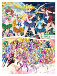 アニメ映画 セーラームーン プリキュア スーパーヒロイン大戦 Yahoo 知恵袋