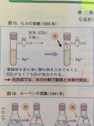 ヒルの実験について質問です なぜ二酸化炭素がないのに光合成が行われ Yahoo 知恵袋