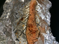 鮭の焼き加減が分からない魚を焼く時 赤いところがなければ焼けていると判断して Yahoo 知恵袋