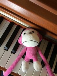 この画像の猿とピアノってまらしぃさんのですか？本物ですか