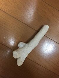 河原で白い石を拾いました 石英 結晶質石灰岩どちらでしょうか Yahoo 知恵袋