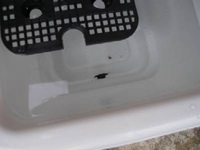 プランターの底に水はけを良くする為に石を入れますよね石の代わりに発 Yahoo 知恵袋