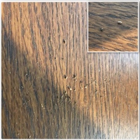 部屋に虫の卵のようなものと黒いカスが出て困ってます 添付画像で見にくいで Yahoo 知恵袋