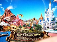 東京ディズニーランドを一日貸切にすることってできるんですか またかつてそ Yahoo 知恵袋