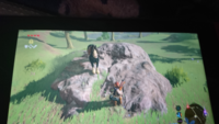 switchのゼルダの伝説で 馬が岩の上に乗ってこれなくなりました。

これは詰んでますか？