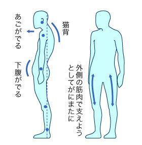 まさにこの画像の通りの猫背で 姿勢が悪いです 下腹 顎が前に出て背中が丸 Yahoo 知恵袋