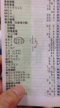 肝臓 数値 検査 高い 血液