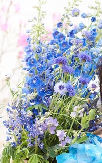 ライア エレガンス という花の花言葉分かる方いましたら教えて頂きたい Yahoo 知恵袋