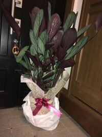 是世話とは どういう意味ですか わかりません 下世話 Yahoo 知恵袋