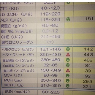 Mchc 血液 低い 検査