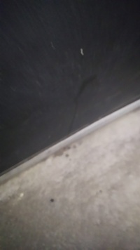 宗教団体で玄関に液体をまく儀式をしているのは 何処の何という団体か知って Yahoo 知恵袋