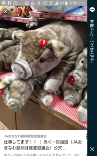 沖縄県のぬいぐるみショップを探しています 沖縄県でぬいぐるみ Yahoo 知恵袋