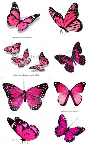 蝶々の種類について質問です とあるアプリでピンク色の羽をつけた Yahoo 知恵袋