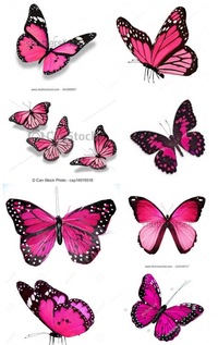 蝶々の種類について質問です。
とあるアプリでピンク色の羽をつけた蝶を見ました。他にも青や紫などの蝶を見つけ、種類が気になったので調べてみたのですが、ピンク色の蝶だけ、種類がわかりま せん。本当に生存しているのかもわかりません。
ピンク色の羽の蝶など、存在するのでしょうか？
また、画像のような色でなくとも、似た柄の蝶は生存しているのでしょうか？もし生存するのであれば、種類を教えて頂けたら...