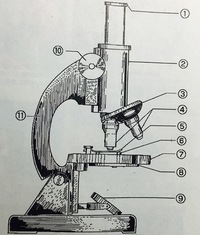 筒 顕微鏡 式 鏡 上下