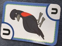 英語のカードでuから始まるこの鳥の名前と発音を教えて頂きたいで Yahoo 知恵袋