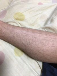 昨日のtvで言ってたのですが スネ毛でアリンコ作るって何です Yahoo 知恵袋