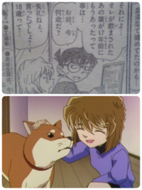 この画像の名探偵コナンの漫画とアニメの話数と題名を教えて下さい Yahoo 知恵袋