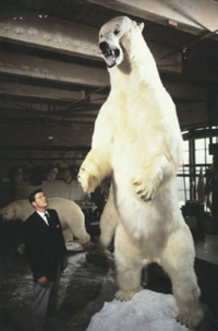 1tのホッキョクグマと絶滅したアンキロサウルスが戦ったらどっちが強いでし Yahoo 知恵袋