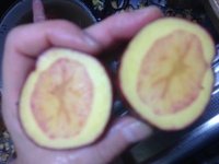 いただいたジャガイモの断面が赤紫になっているのですが 腐ってますか Yahoo 知恵袋