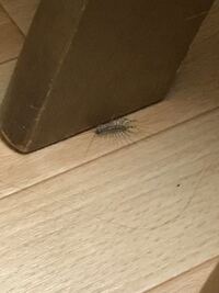 閲覧注意です 教えて 住まいの先生 Yahoo 不動産