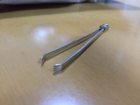 玄武に巻き付いてる蛇の名前はなんですか セットで玄武だ 分かるん Yahoo 知恵袋