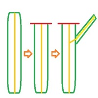 柱サボテンの横枝の維管束

柱サボテンを図のように赤線の成長点の下で切り落としたときに、刺座から新しく横枝が出てきますが、、、、

①横枝の維管束（黄色の線）は、横枝が出た（出る） ときにはじめて中央の維管束から伸びてくるのでしょうか？

②それとも横枝の有無に関係なく刺座のところまでは、そもそも維管束が伸びてきているのでしょうか？

袖ヶ浦、竜神木について解答が違うようであ...