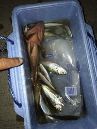 この魚なんですか 主人がすごい気持ち悪い魚を釣ったらしいんですが周りの Yahoo 知恵袋